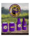 LSU Licensed Beverage Cooler - Grace Global & Co